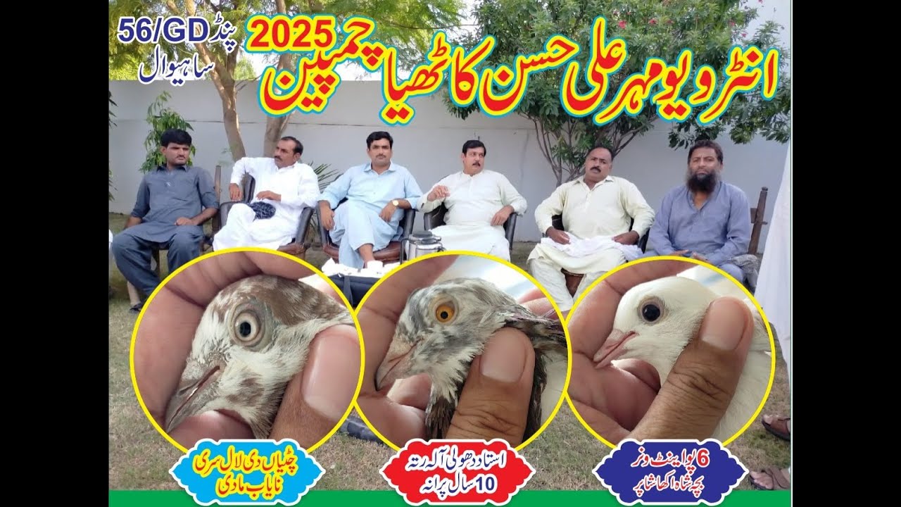 Interview Mahr Ali Hassan Kathia 56 GD  Sahiwal || Champion 2025  || Shopper Bacha 6 time winner ||
