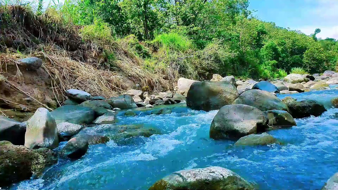 Calming River Flow 🌿 Relaxing Nature Sounds for Sleep, Meditation & Peaceful Mind