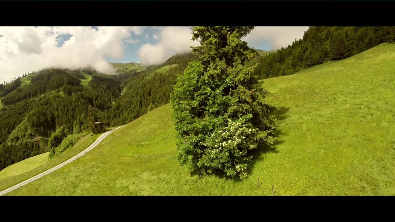 Natur in Grossarl