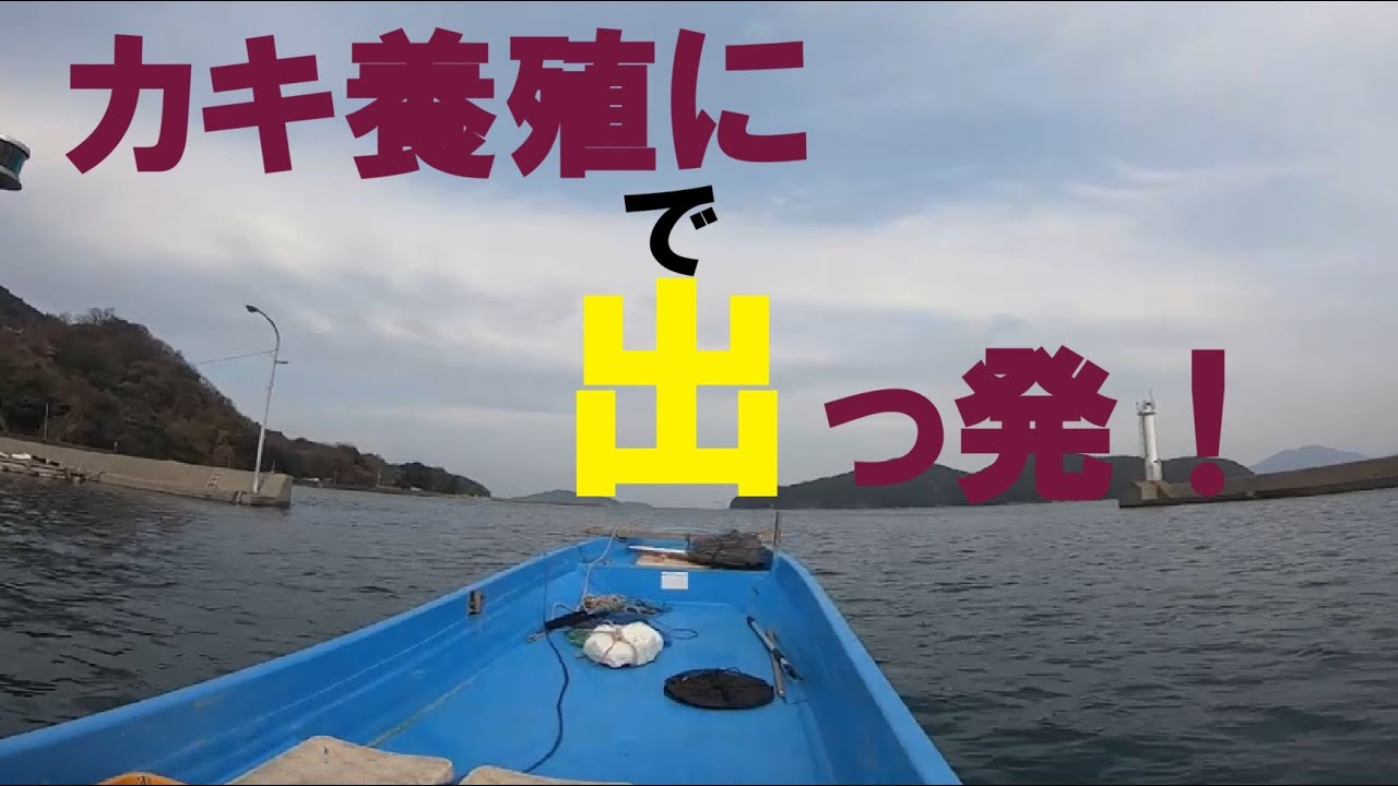 梅1　【柱島オイスター】２号などありえない。