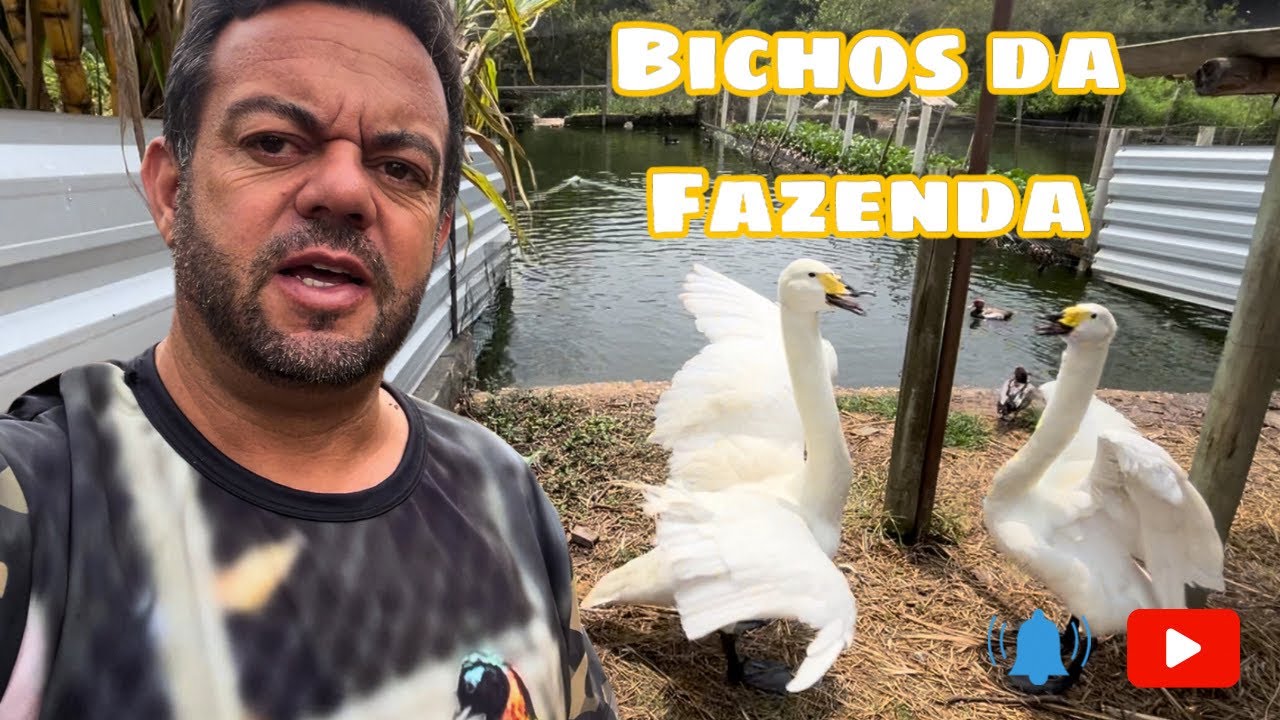 Os bichos da fazenda e a Importância do enriquecimento ambiental para o sucesso na reprodução.