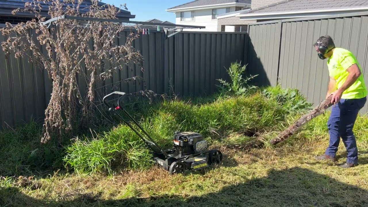 She hasn't been in the yard since her dog passed away. I'm going to clean it up for Free