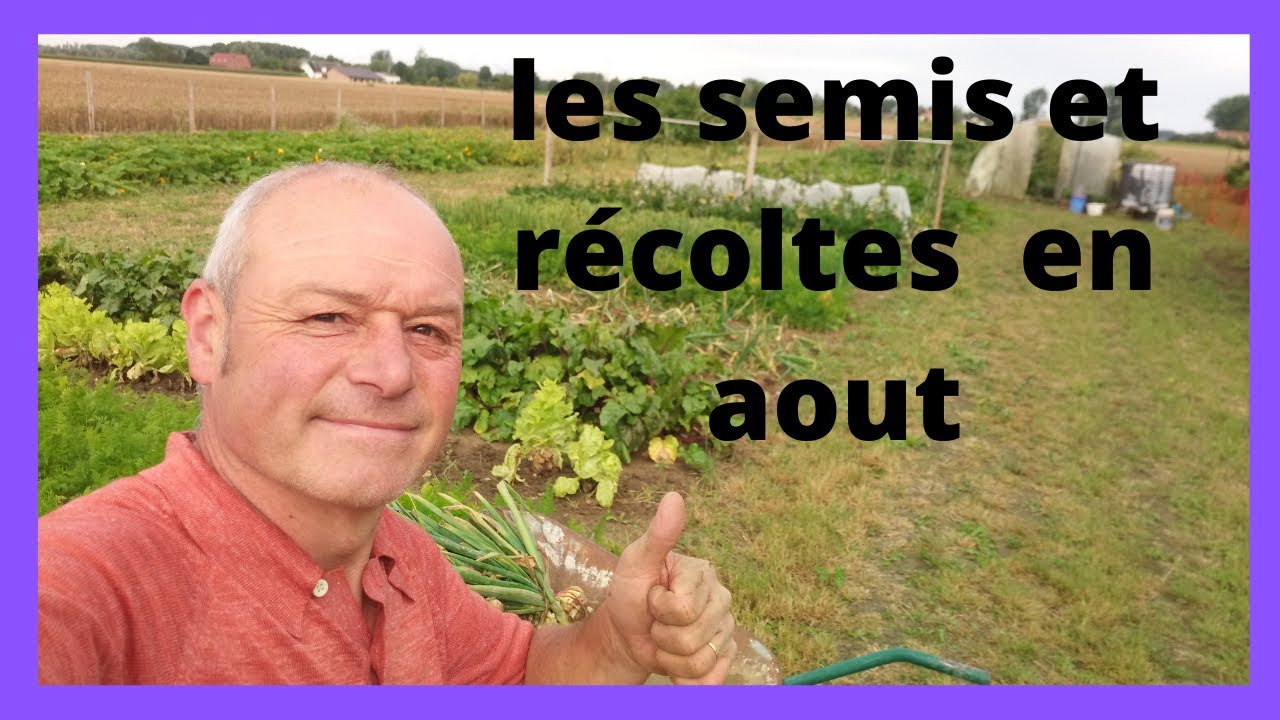 les travaux et plantation au 3 août au jardin !!!