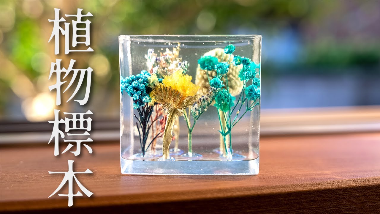 【レジン】植物を無作為にぶっ立てる