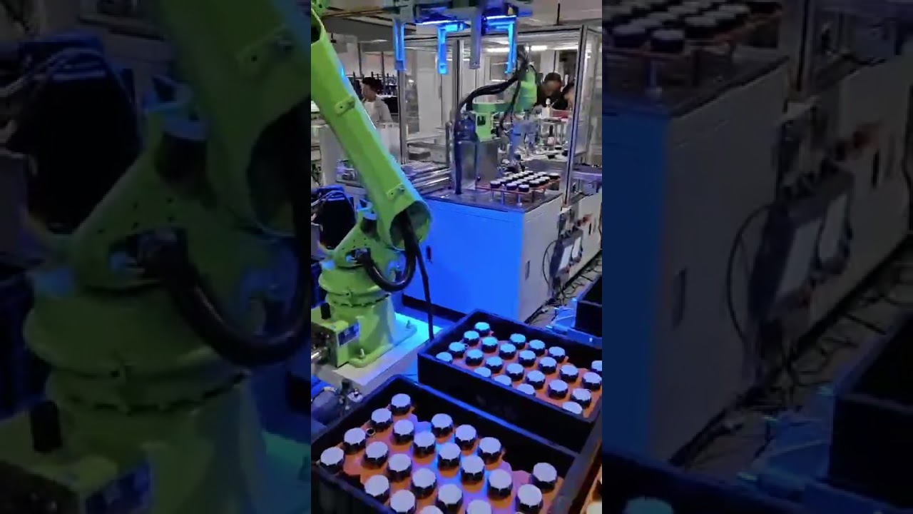 Motor Assembly and Tray Loading Production Line