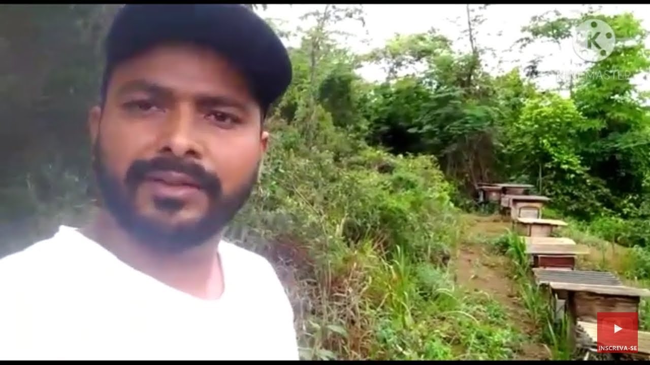 Como montar um api&aacute;rio 🐝🐝ABELHA, APIS