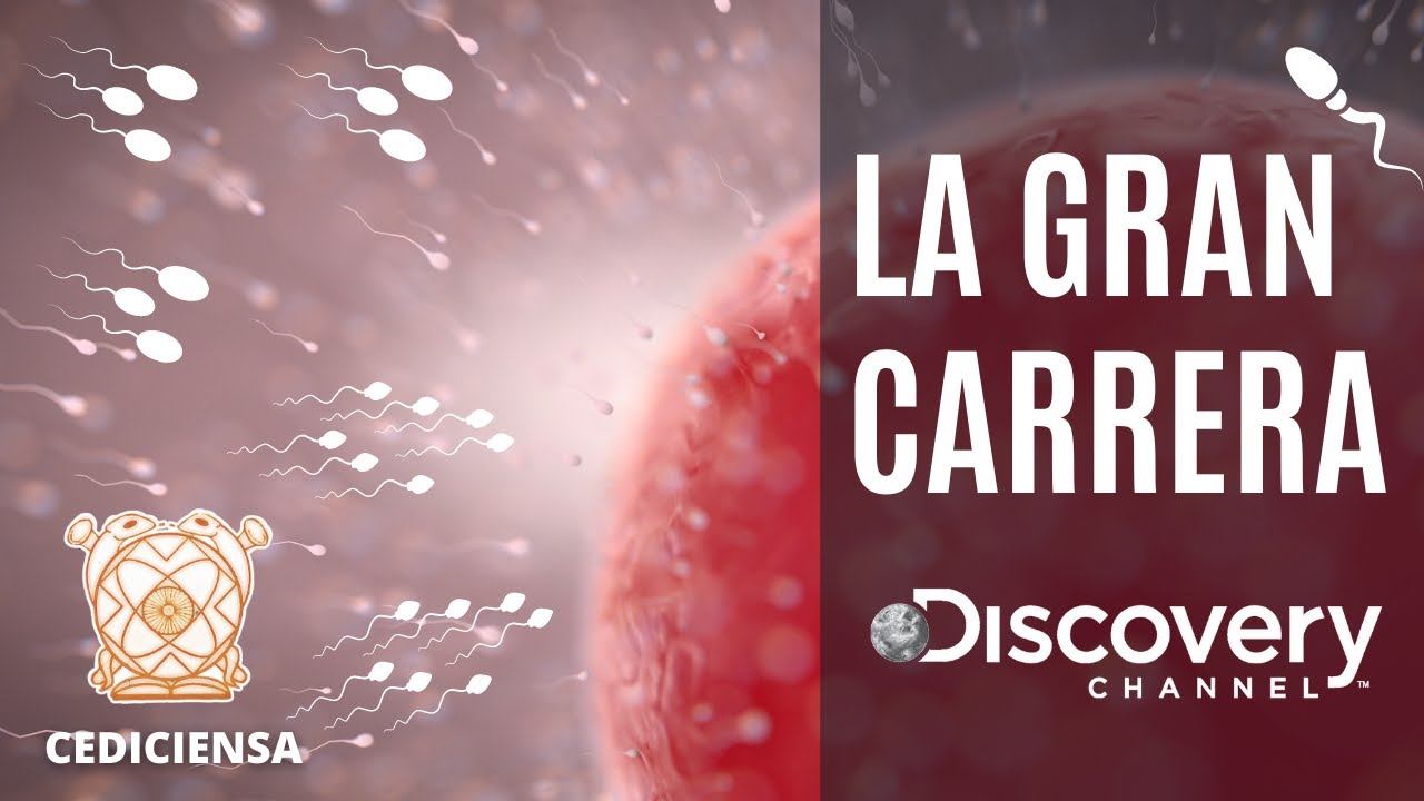 La Gran Carrera | Documental Discovery Channel