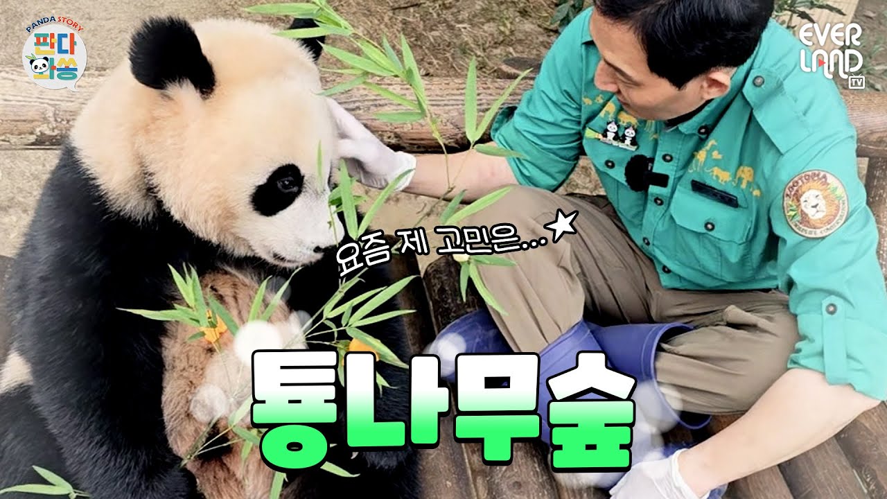 [ENG](소근소근) 후이바오가 툥바오에게 고민을 털어놔요!｜#판다와쏭 #171