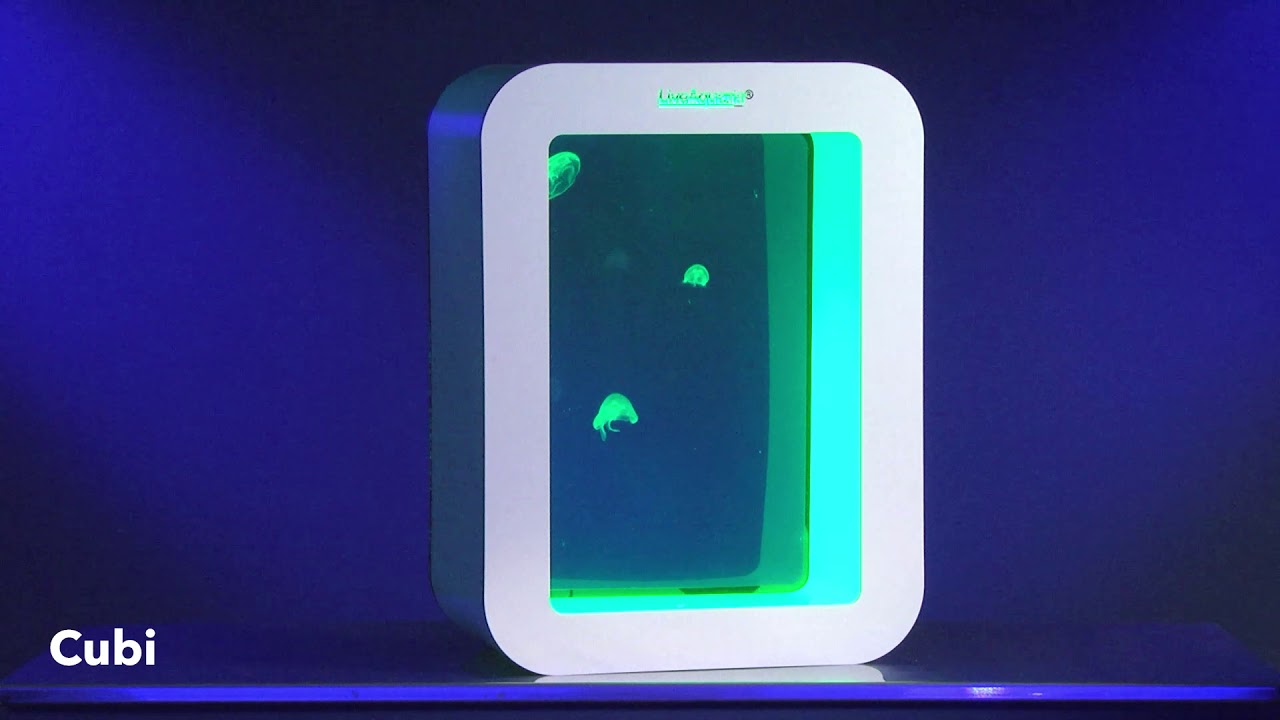 LiveAquaria® J Series Jellyfish Aquarium Kits