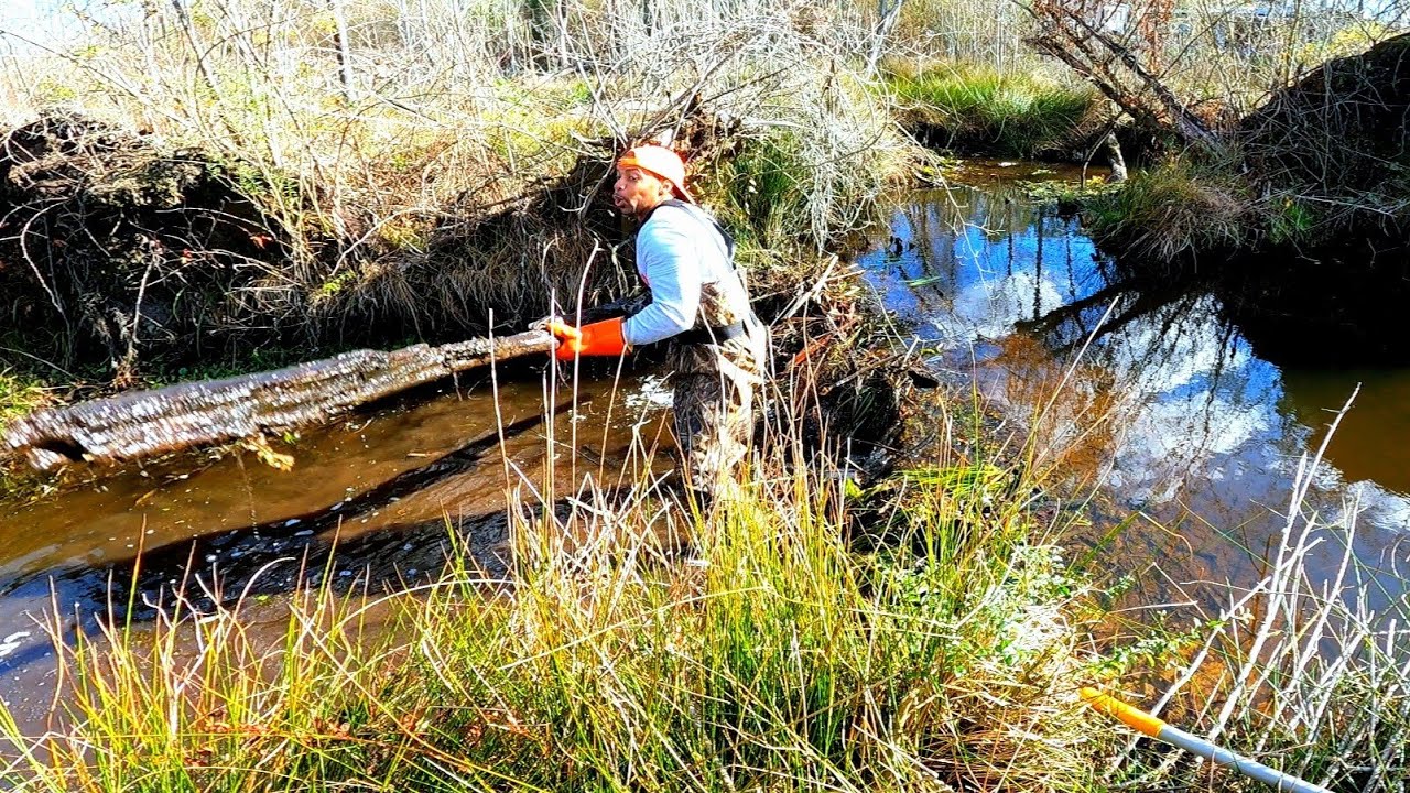 Beaver Dam Quest Begins! || BEAVER DAM REMOVAL IN GATOR CREEK! S4 EP.13!