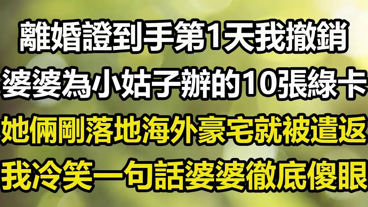 91離婚證到手一分鐘，我秒刪婆婆「3國10年簽證」，她剛到歐洲享受豪華遊，海關一句話讓婆婆當場傻眼！