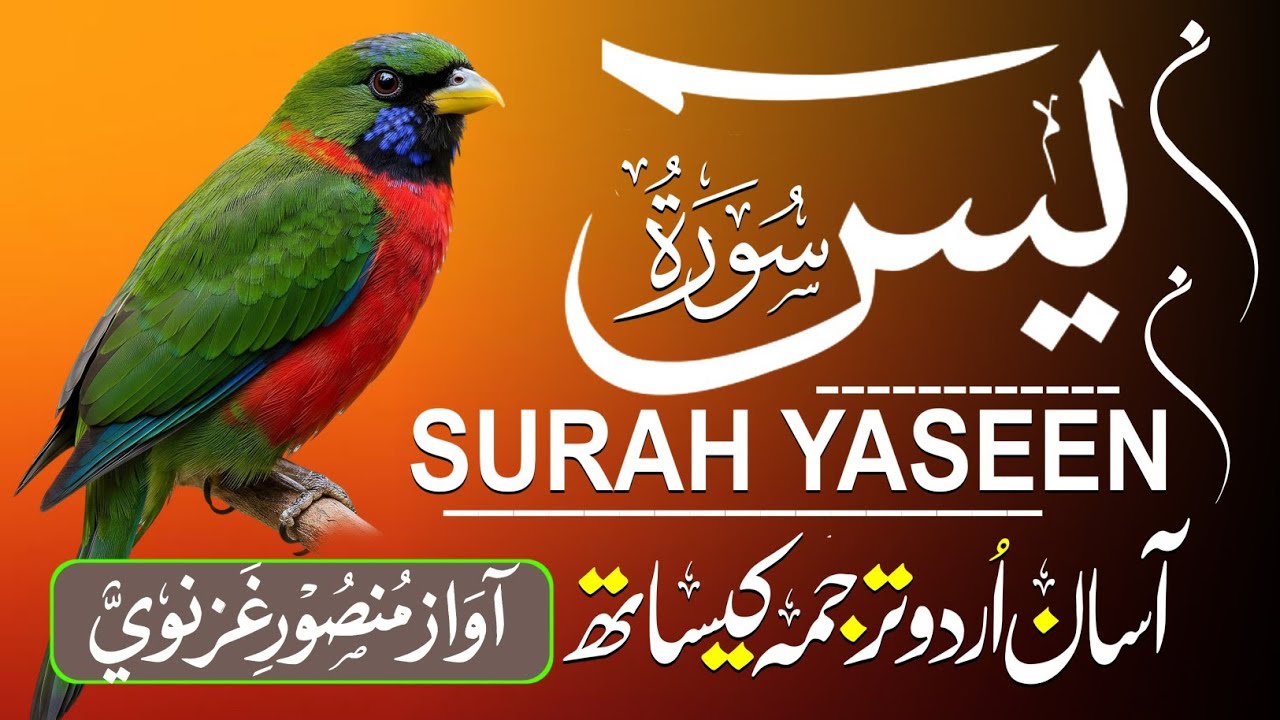 Surah Yaseen 🤍 This Ayah Will Find You | Quran Recitation with Urdu