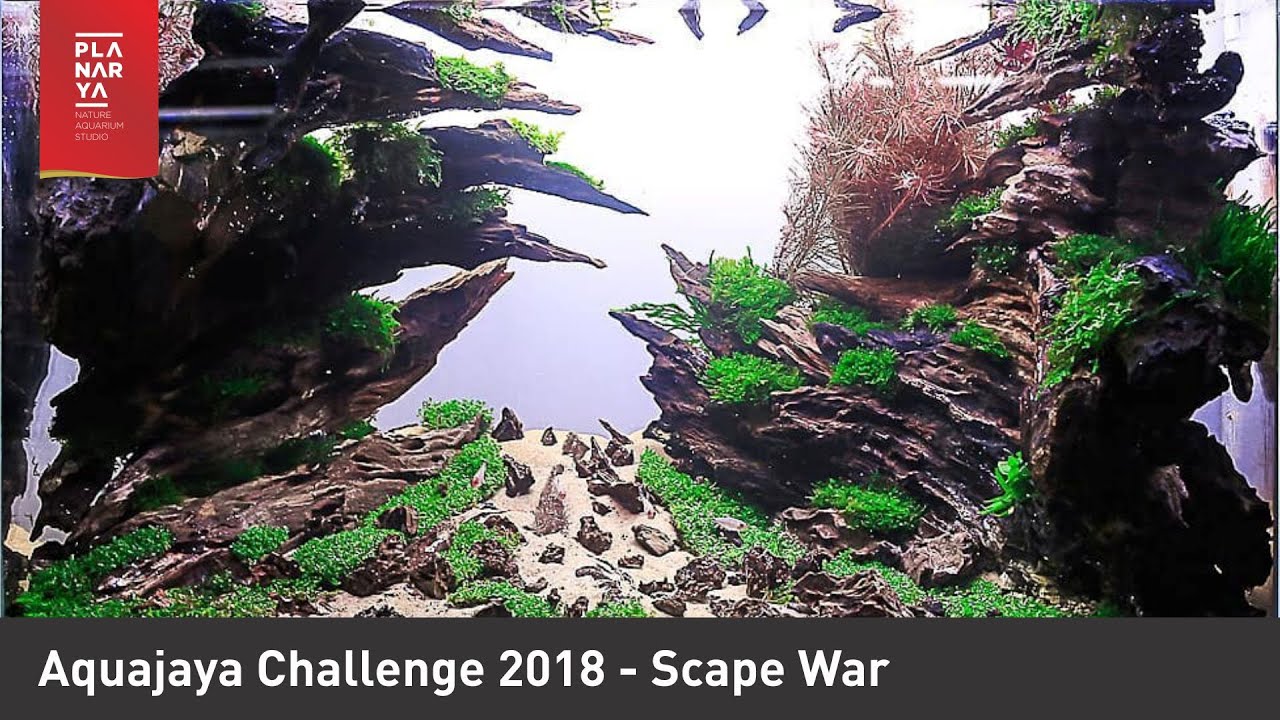 Aquajaya Challenge 2018 - Scape War (Full Tank Shot Video)