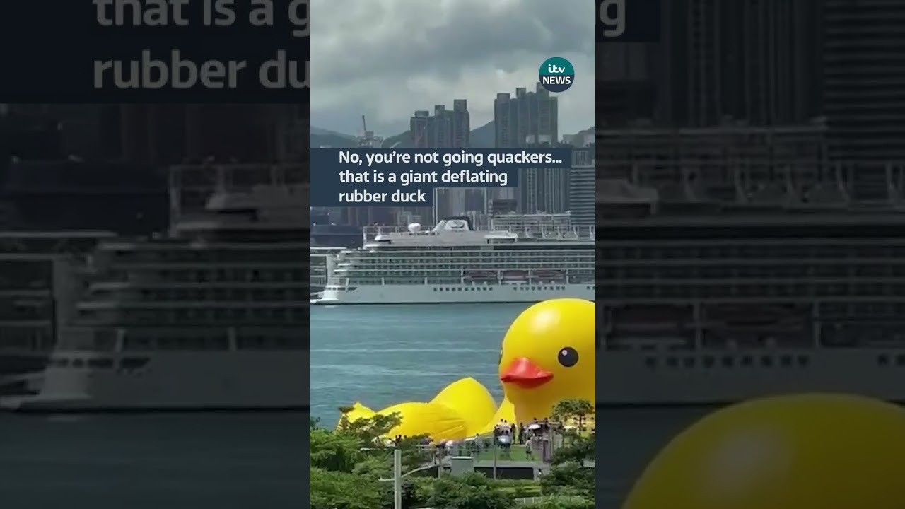 Yes that is a giant deflating duck… 