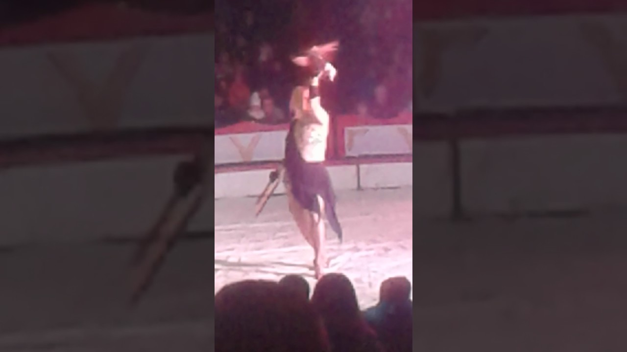 Cyrk  Vegas Wąbrzeźno 2017
