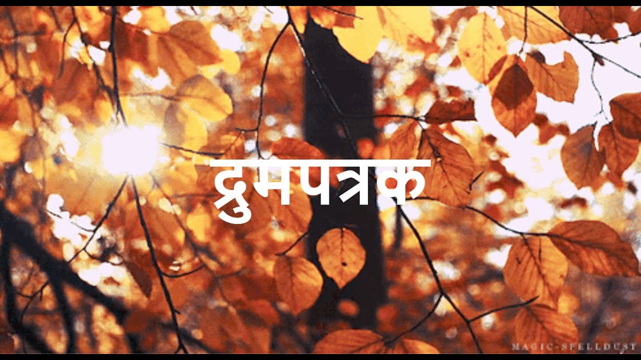 दुमपत्तयं | द्रुमपत्रक Drumpatrak जैन तीर्थंकर महावीर स्वामी द्वारा सतर्कता व समय की महत्ता पर उपदेश