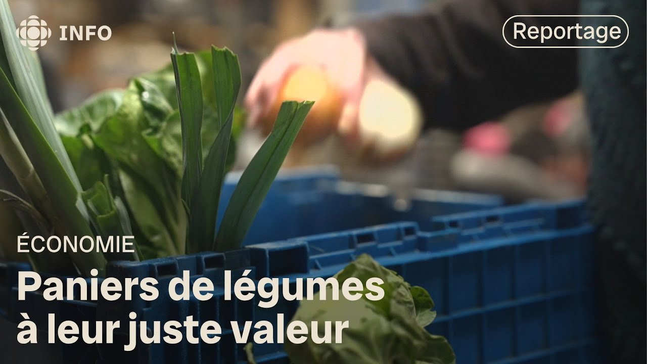 Paniers de légumes : un nouveau modèle pour être viable | La semaine verte