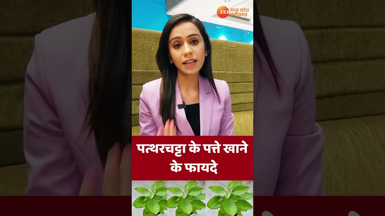 #shorts | Health Tips: Benefits of eating stone breaker leaves | Health Benefits | Latest