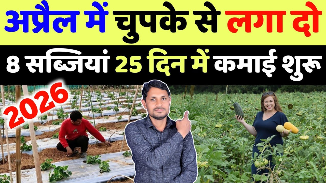 अप्रैल में लगा दो सबसे बेस्ट 8 सब्जियां | april me konsi sabji lagaye | april mein sabji ki kheti