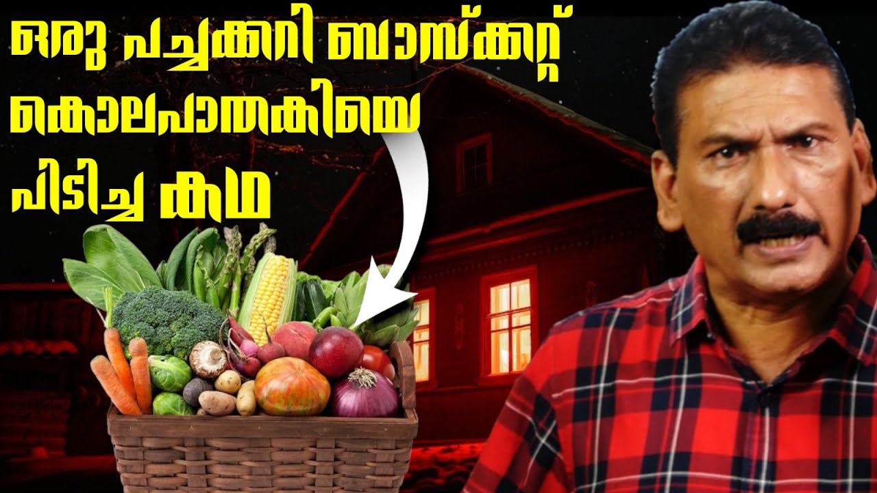 പരിചയക്കാരനാണെന്ന്  കരുതിയാണ്  വാതിൽ തുറന്നത് ! പക്ഷേ ! ! | BS CHANDRA MOHAN|MLIFE DAILY
