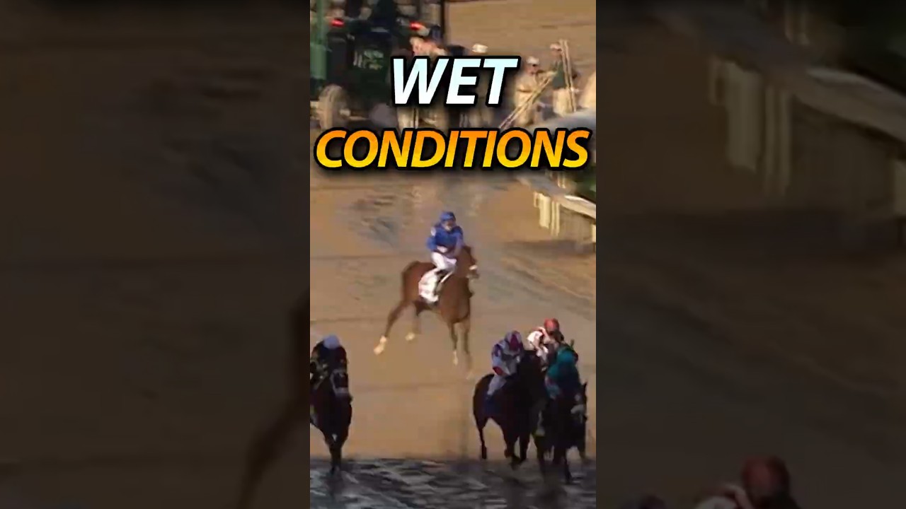 This Horse Wanted Nothing To Do With Rain 😂
