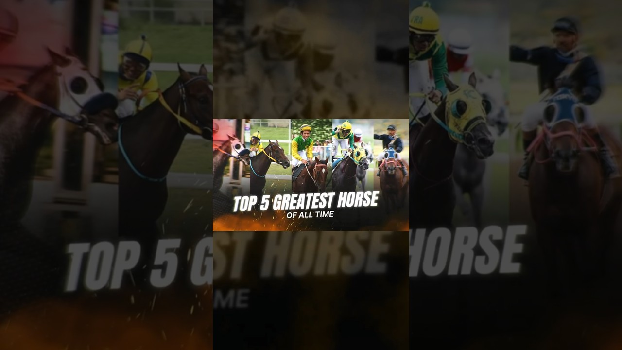 Top 5 Racehorses in Philippine History Revealed!