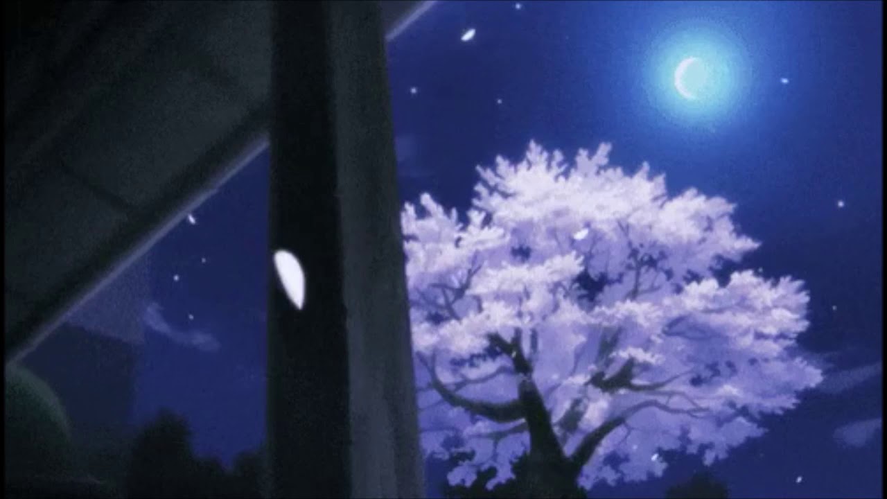 Drake- Not You Too『 slowed + reverb 』