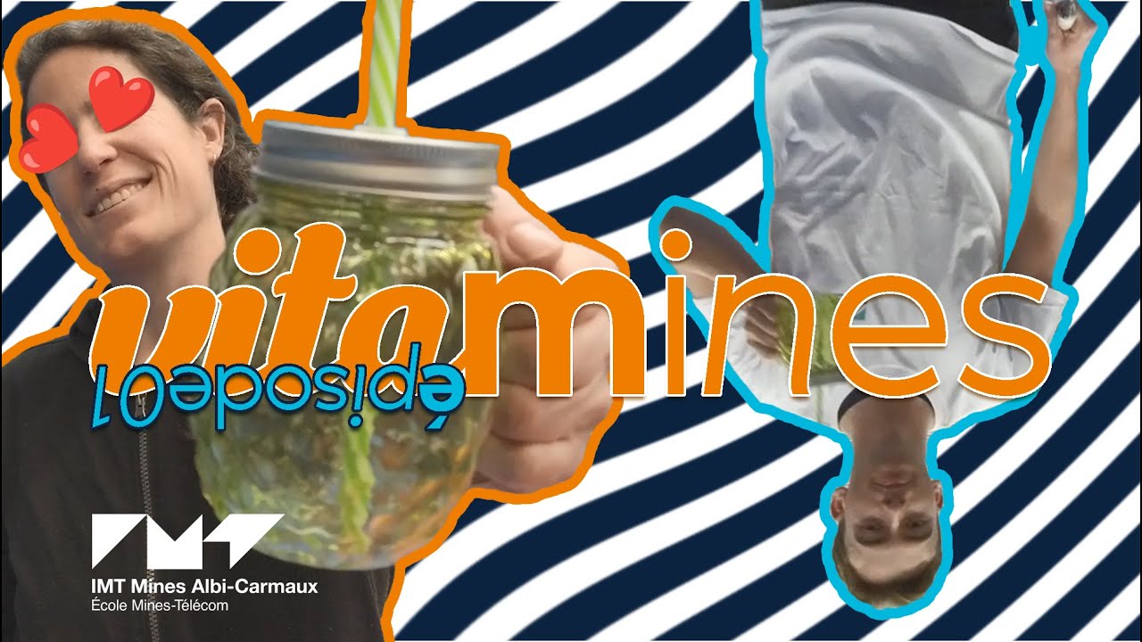 #Webserie IMT Mines Albi #VITAMINES 🎬 ÉPISODE #1 : la cure commence maintenant !