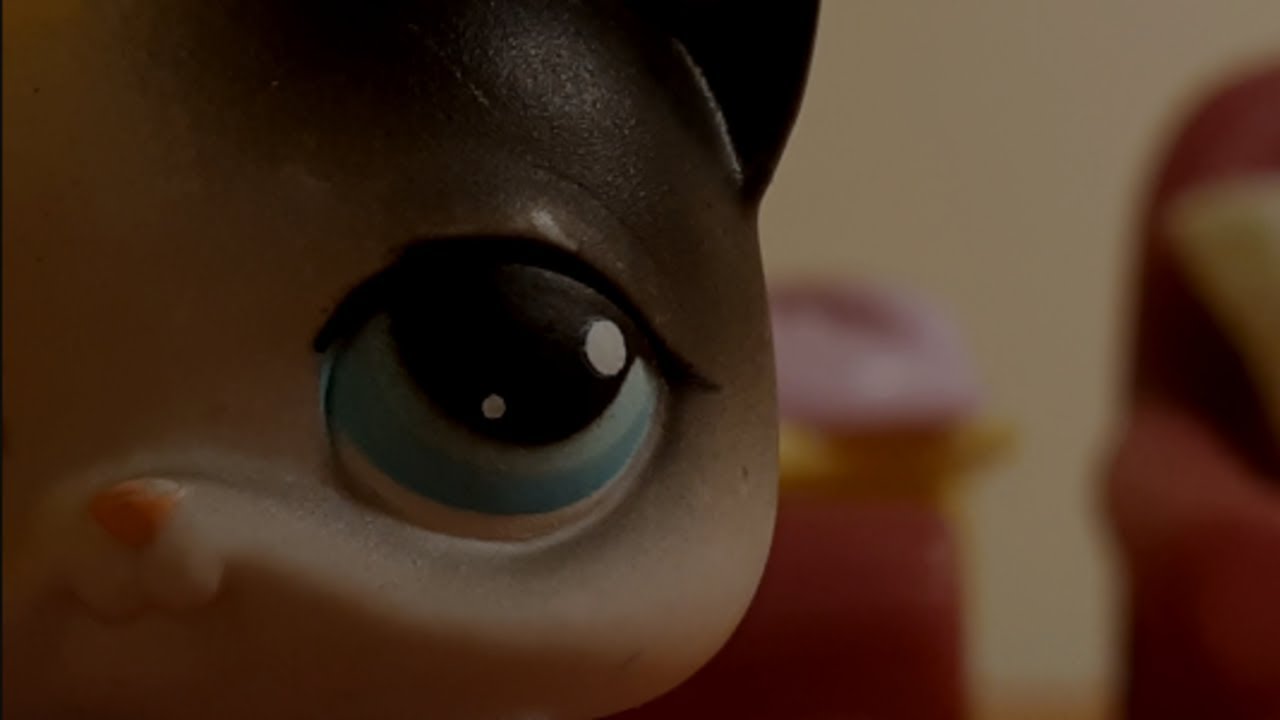 LPS - The Housewife (Short Horror Film) (14+)
