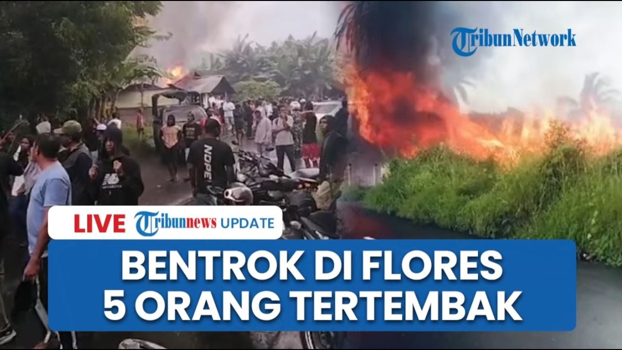 🔴LIVE: Korban Bentrokan di Adonara Timur NTT Bertambah, 5 Orang Alami Luka Tembak Senjata Rakitan