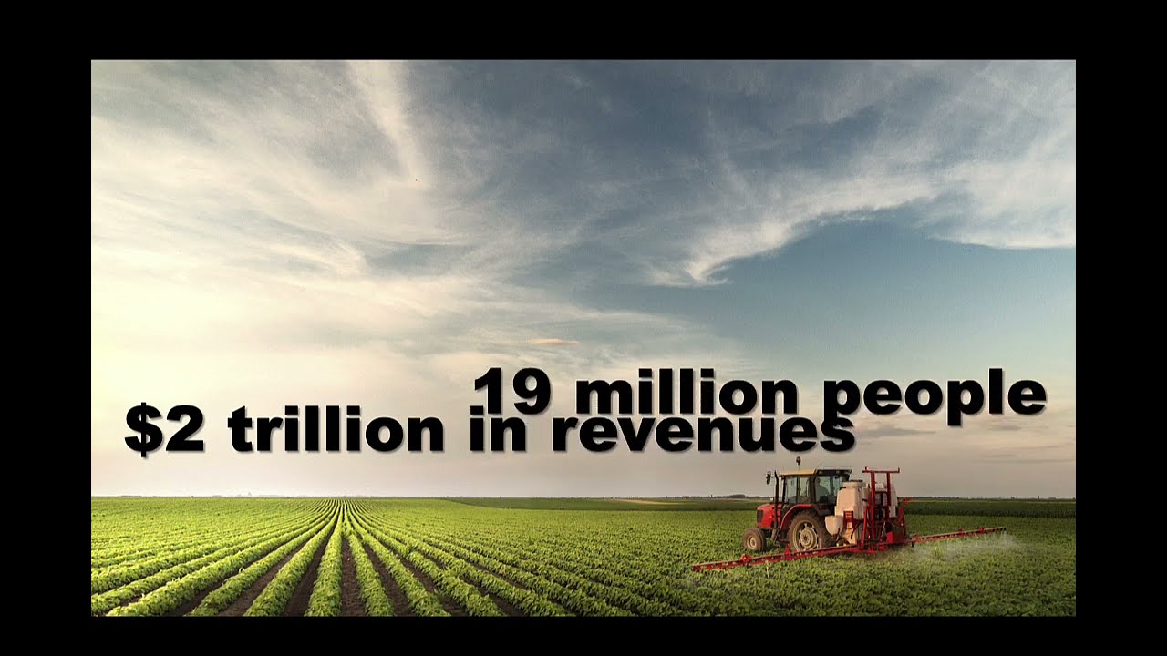 The US Food System: Power, Politics, and Production