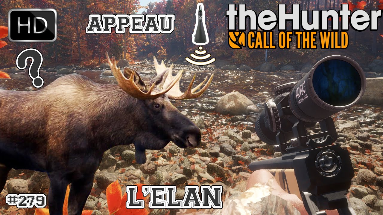 THE HUNTER CALL OF THE WILD #279 NOUVELLE CHASSE À L'ÉLAN AVEC APPEAU SUR NEW ENGLAND MONTAINS 2024