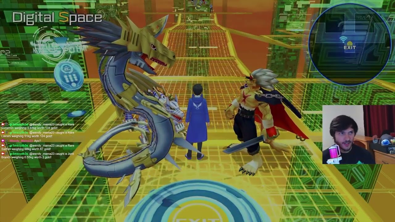 A too rough of a fight (Digimon: Hacker's Memory)