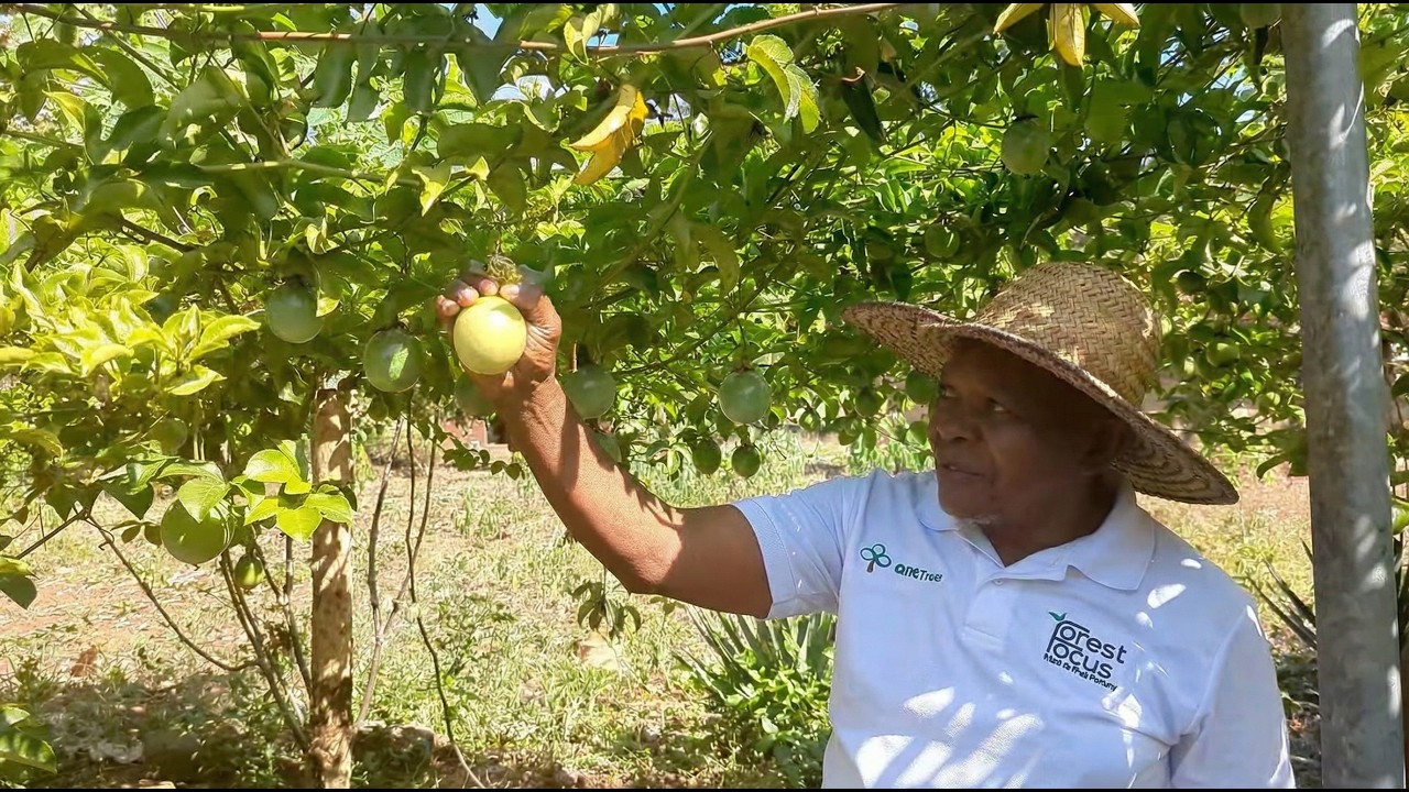 A Thank You from Edwin 🌱 | Real Change Through Agroforestry