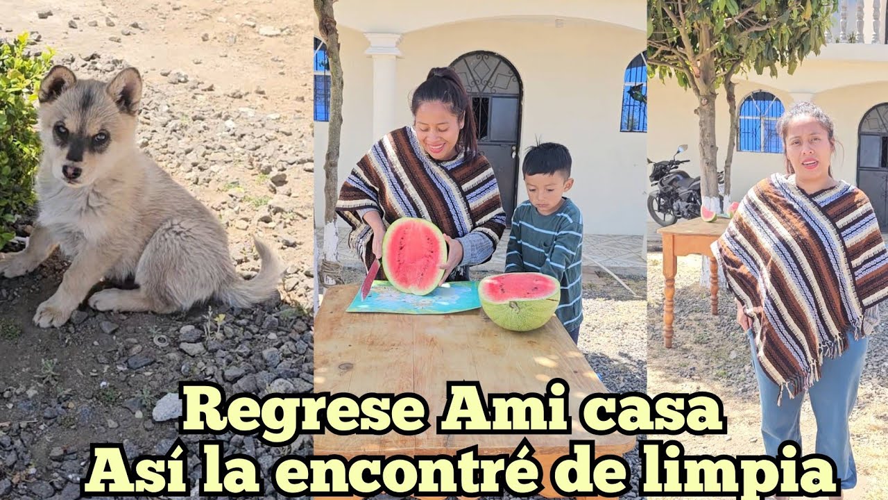 Regresamos A Casa Por Esta Razón 😱Viviremos Un Tiempo En el Jabali haber q Tal Nos Va La Panaderia❤️