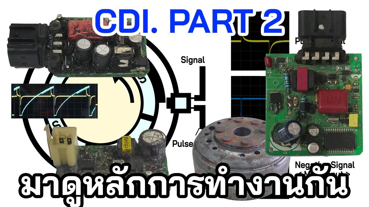 EP10.มาเรียนรู้ CDI. ไปด้วยกันตอน 2 | งูๆปลาๆ