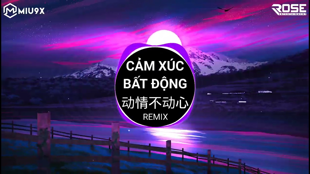 Cảm X&uacute;c Bất Động Remix (DJ阿本) 侯泽润 - 动情不动心 | Hầu Trạch Nhuận || Nhạc Hot TikTok Douyin 2023