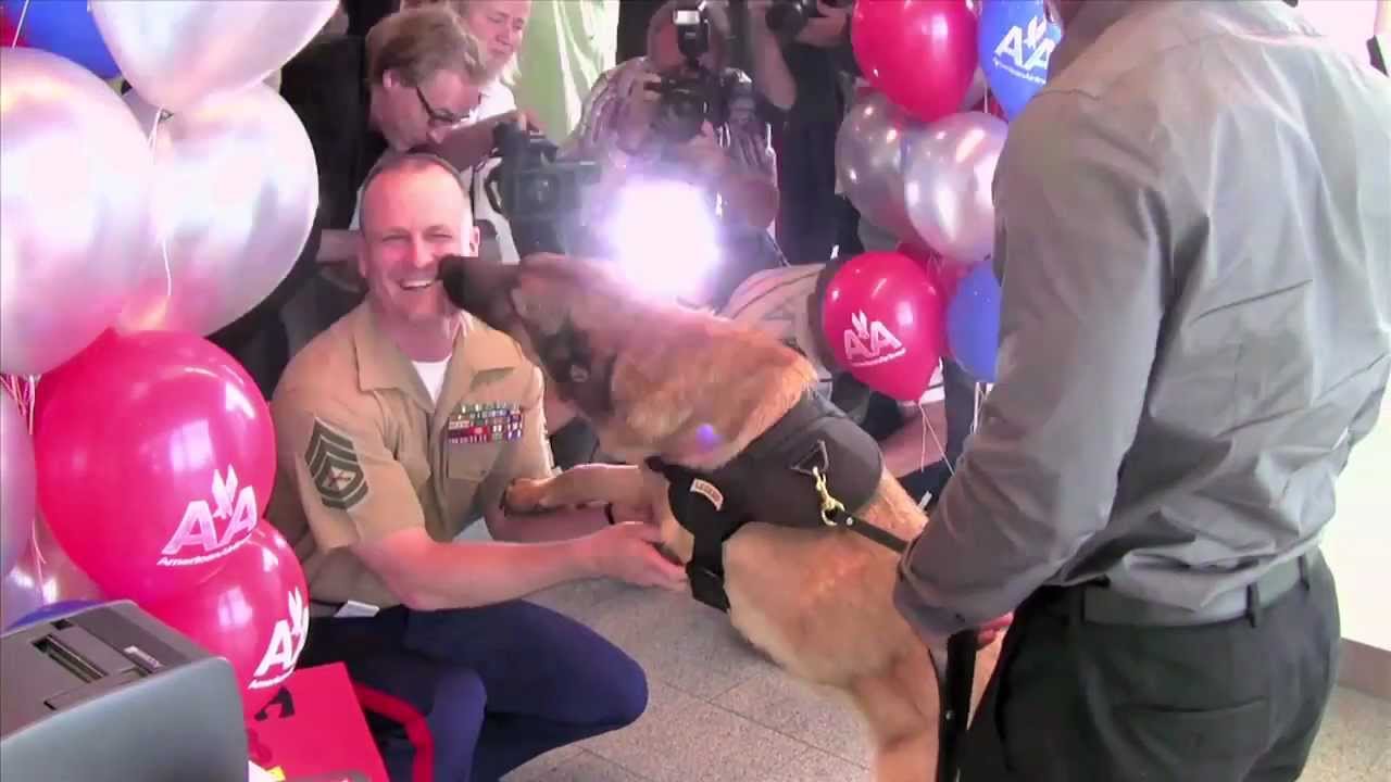 MEET LUCCA FULL SEGMENT
