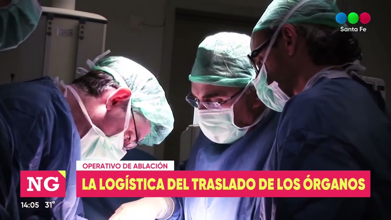 CUDAIO: cómo es la logística para el traslado de órganos
