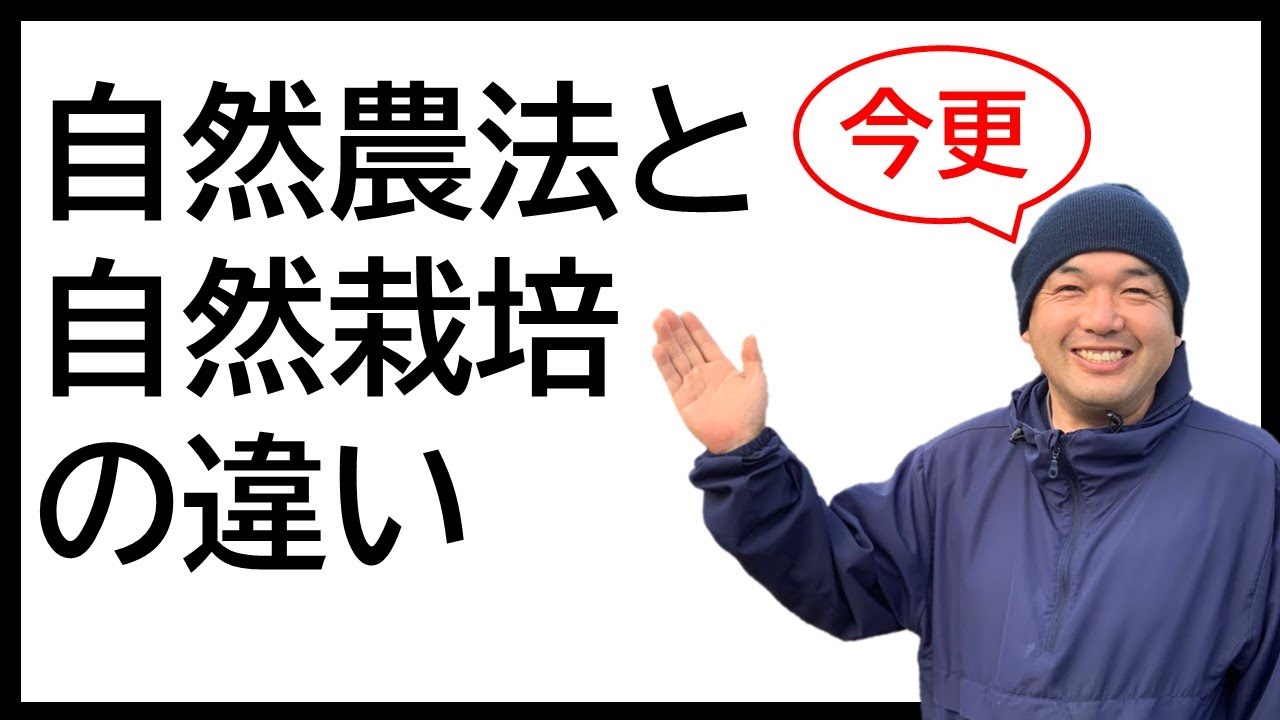 【今更聞けない】自然農法と自然栽培の違い（有機栽培も説明します）
