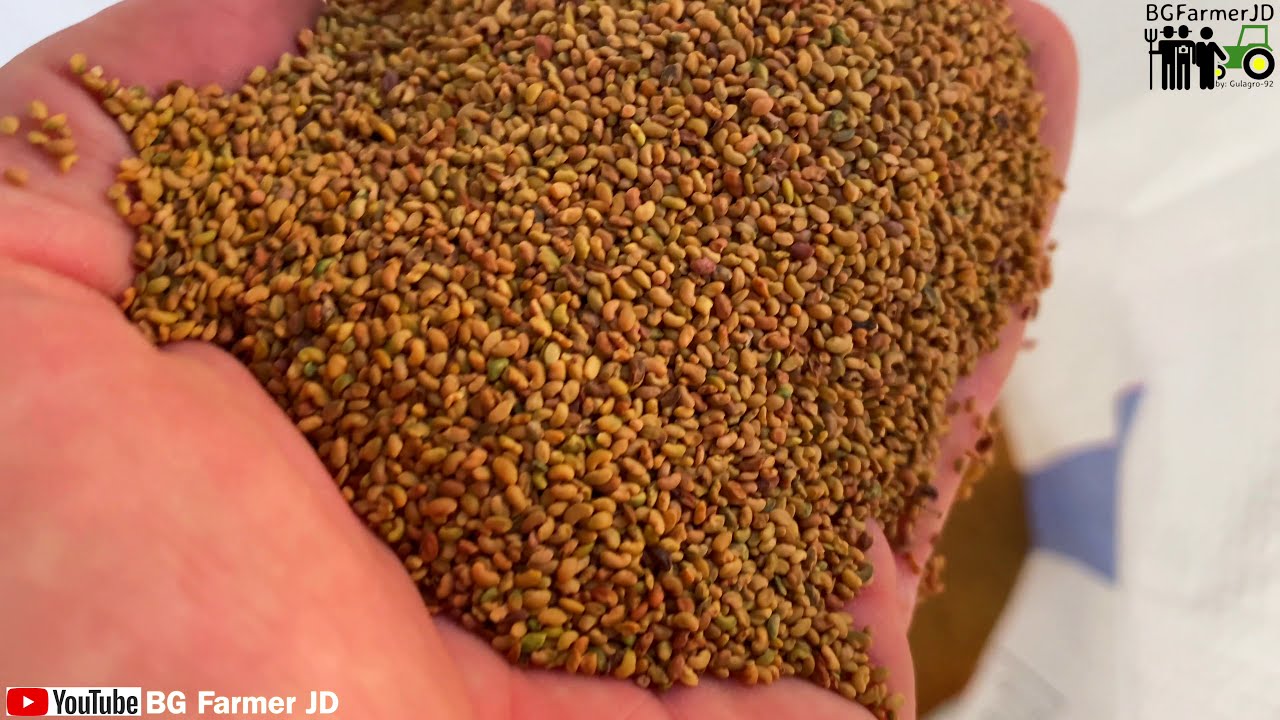 4K ✅  Lucerne seed cleaning🔥 PETKUS K541 Super🔥  Made in Germany🔥Alfalfa seed cleaning machine 🔥