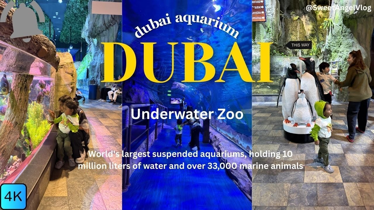 Masti Time with baby at Dubai Aquarium || Dubai Mall || #babyreaction #trending #cutiebabyofficial 