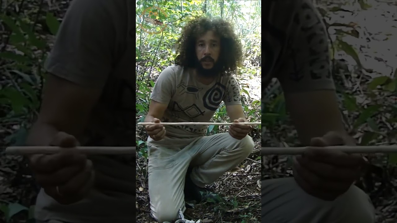 Como fazer flechas primitivas