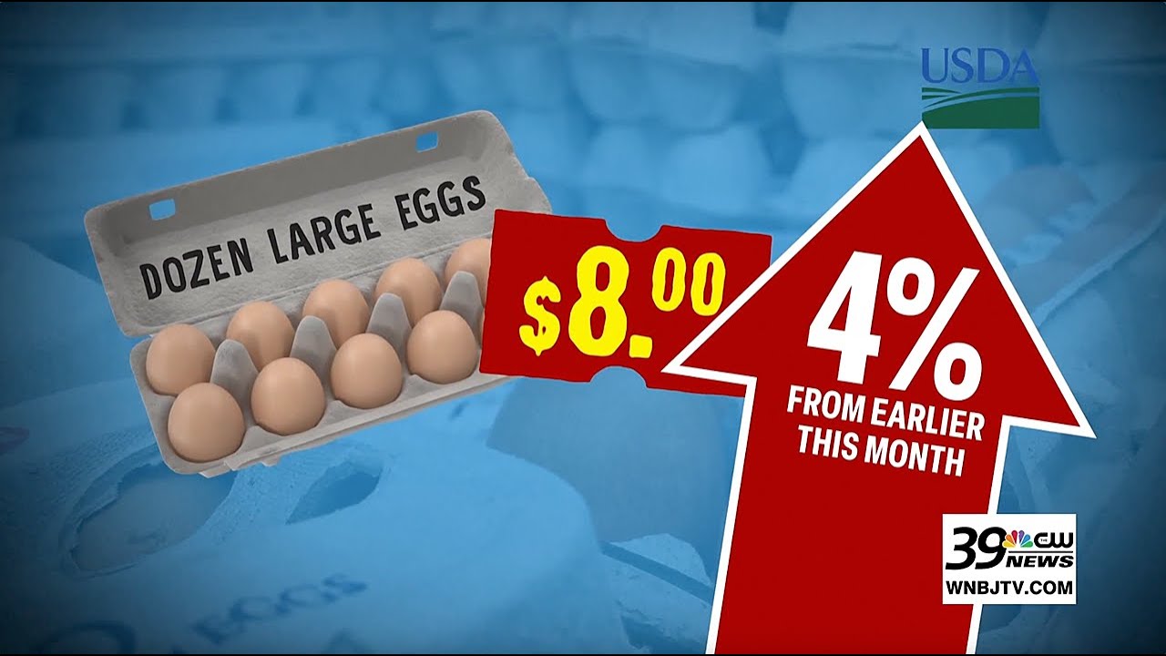 Egg prices hit record highs amid nationwide shortage