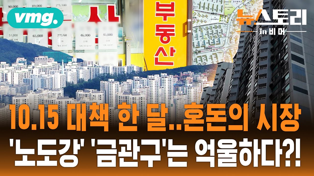 초양극화의 서막..강남3구, '마용성'은 또 신고가! / 뉴스토리 in 비머