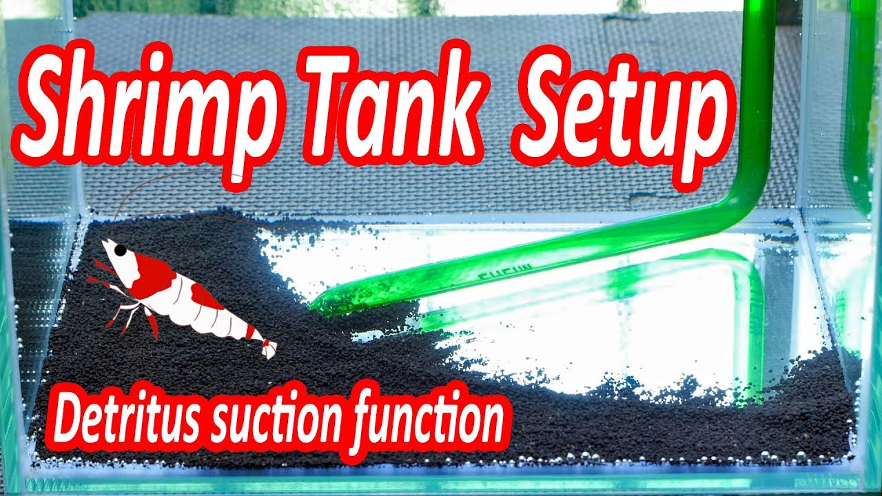 [Aquarium DIY] How To Make  Detritus Vacuum [Cleaner]