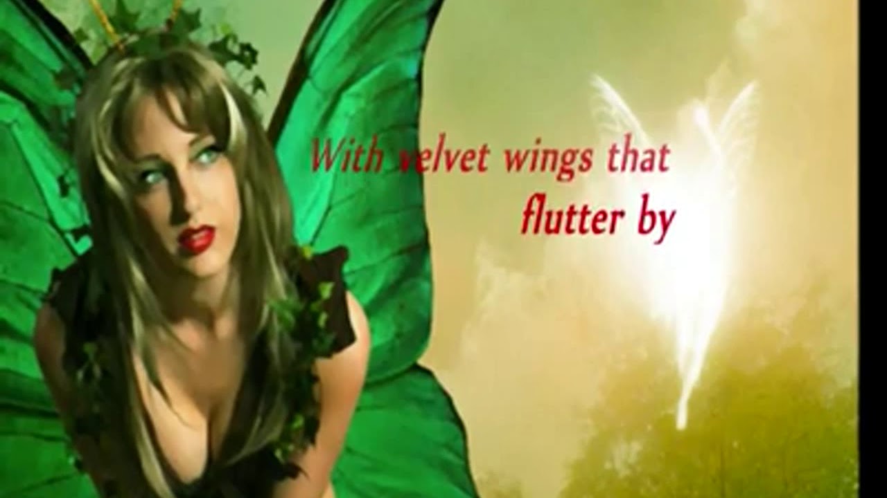 My Elusive Butterfly