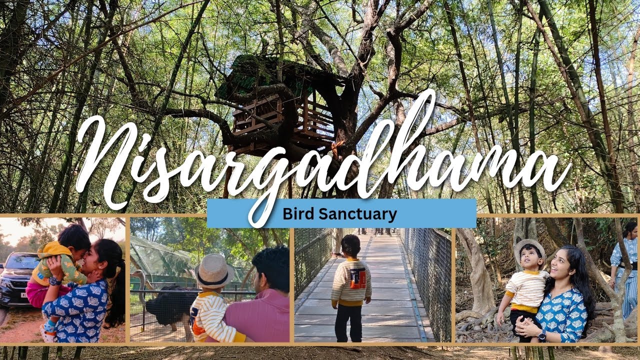 Nisargadhama Bird Sanctuary 🕊️✨ Karnataka || Part 3 ✨