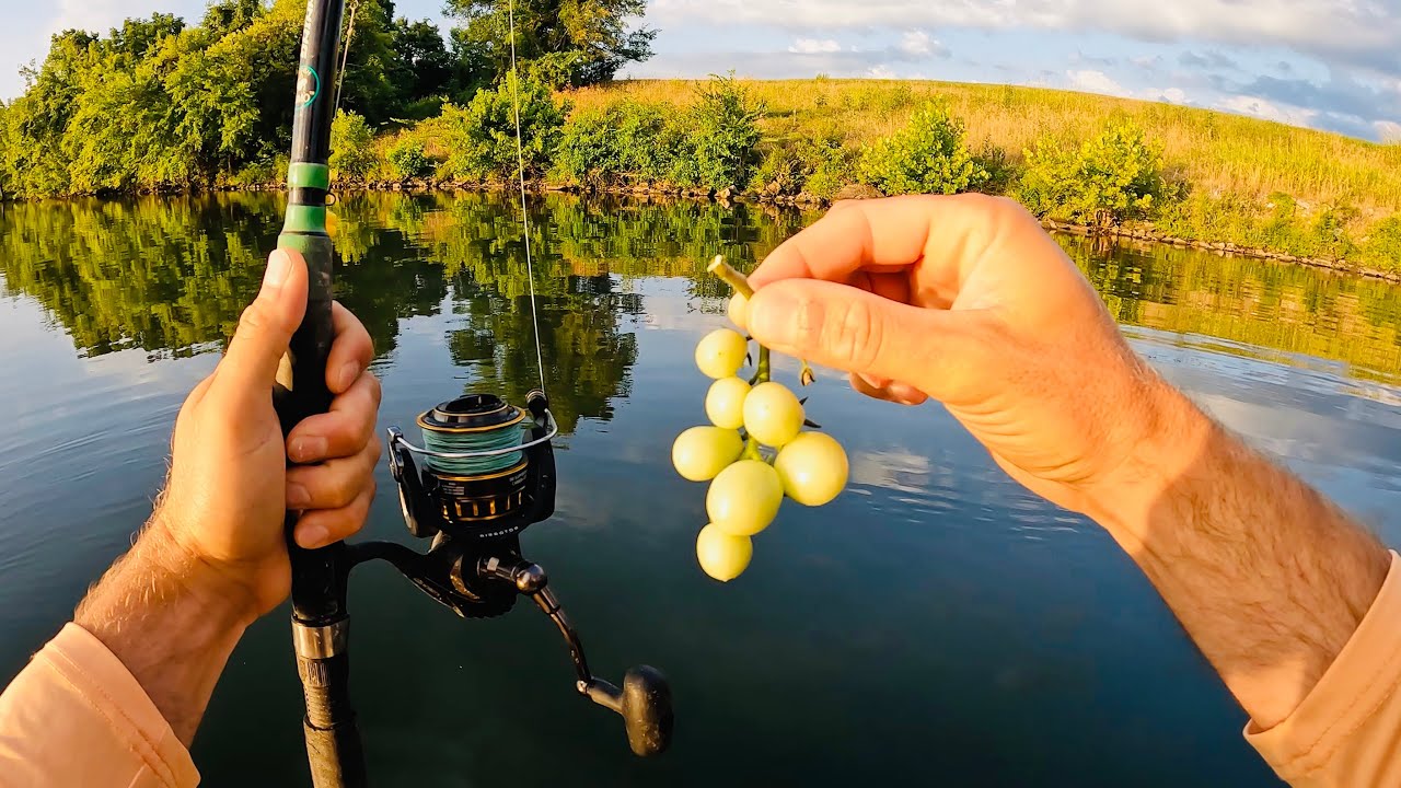 4 Hours of RAW and UNCUT Kayak Carp Fishing with Green Tomatoes and Worms