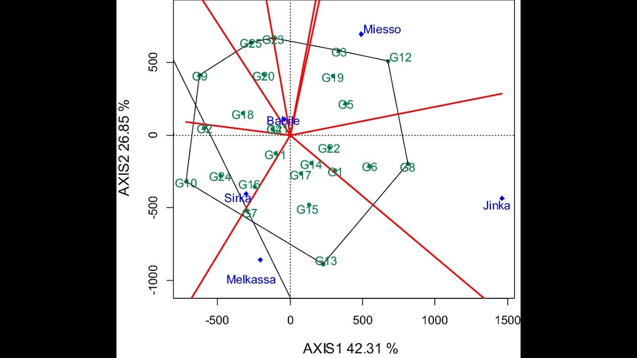GGE (Genotype by Environment Analysis) Using GGEBiplotGUI package in R | Biplots |GGE| Fixed model